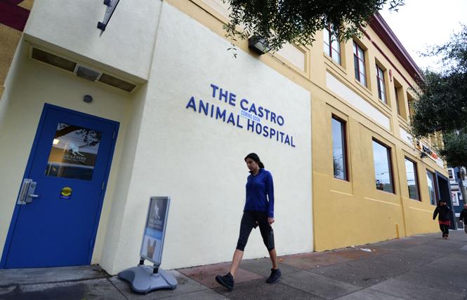 The Castro Animal Hospital opened Monday in the ground floor of Maitri Compassionate Care at Church Street and Duboce Avenue. Photo: Rick Gerharter