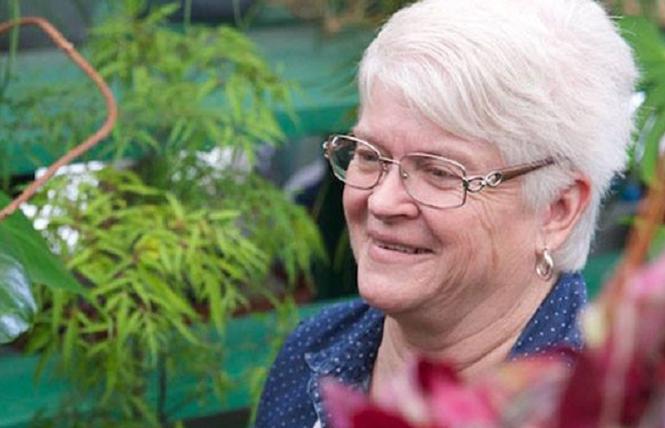 Barronelle Stutzman, the owner of Arlene's Flowers in Washington, is expected to appeal her case to the U.S. Supreme Court.