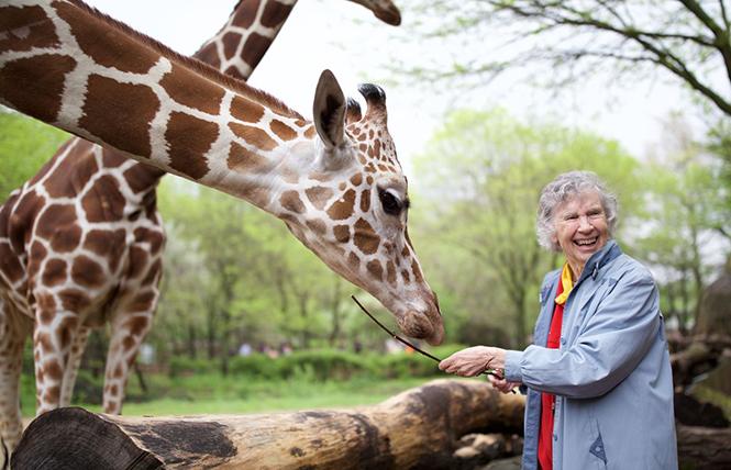 Dr. Anne Innis Dagg with a long-necked friend in director Alison Reid's "The Woman Who Loves Giraffes." Photo: Zeitgeist Films 