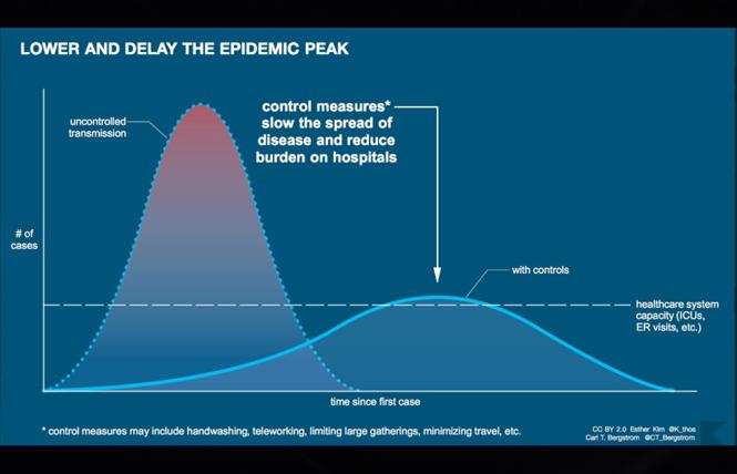 The flattened curve shows how a reduced rate of coronavirus infection could reduce the impact on hospitals and the wider healthcare system. Image: Esther Kim, Carl T. Bergstrom via World Economic Forum