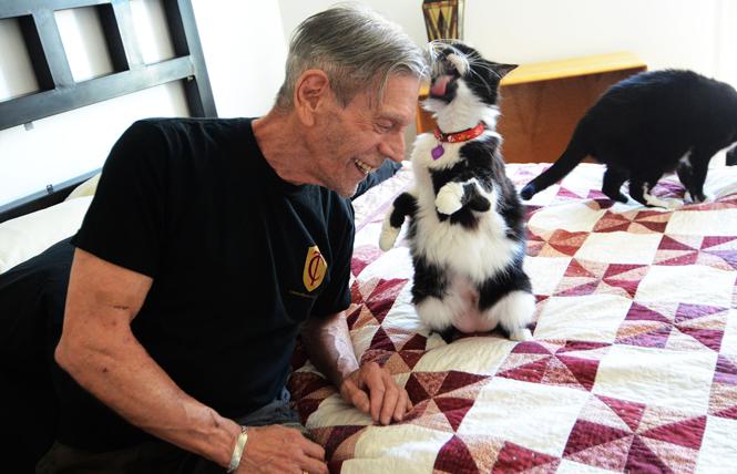 Bill Longen relaxed with his two cats, Darla, 14, and Wheezer, 15, in his apartment in the Marcy Adelman and Jeanette Gurevitch Openhouse Community in this July 2019 photo. Photo: Rick Gerharter