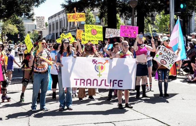 The Translife group marched in last year's Sonoma County Pride parade. Photo: Dale Godfrey