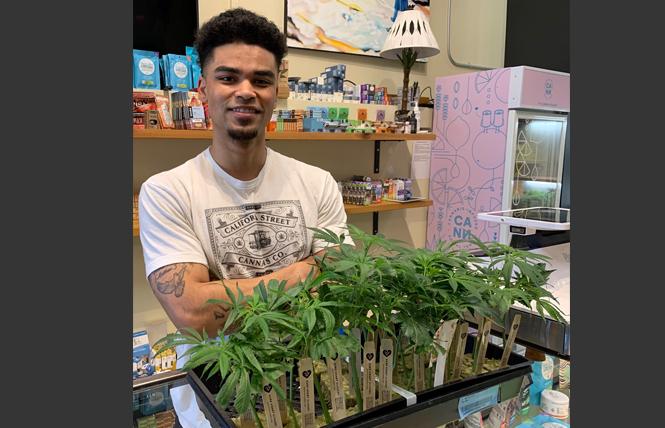 Drakari Donaldson of California Street Cannabis shows some of the starter plants, or clones, that are available at the San Francisco store. Photo: Sari Staver