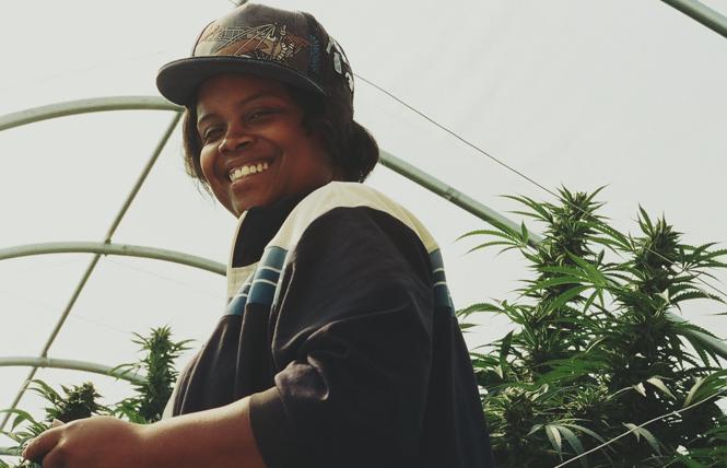 Cannabis entrepreneur Amber Senter. Photo: Anthony Martinez