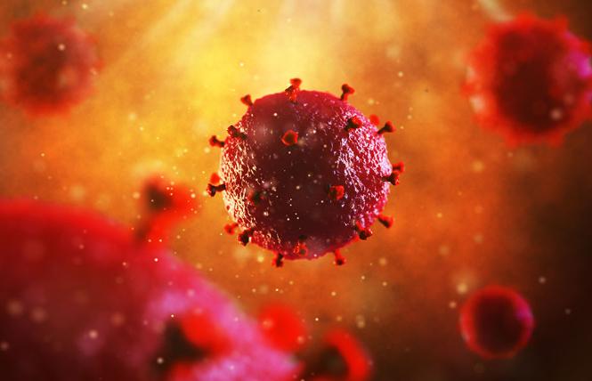 The human immunodeficiency virus. Photo: Courtesy CDC
