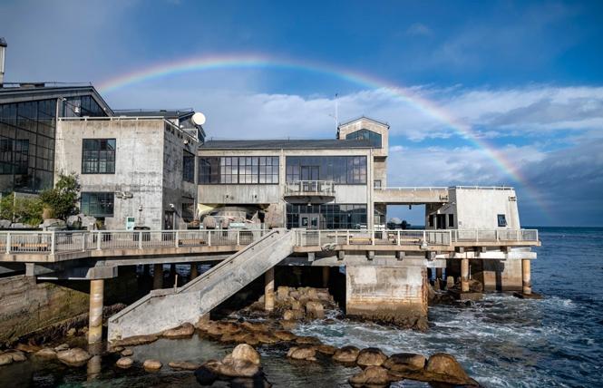 The Monterey Bay Aquarium reopens to the public May 15; online reservations are required. Photo: Courtesy Monterey Bay Aquarium