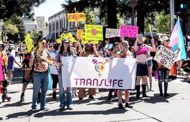 Thousands of people attended the 2019 Sonoma County Pride parade; this year's is switching to a drive-thru format because of the COVID pandemic. Photo: Dale Godfrey