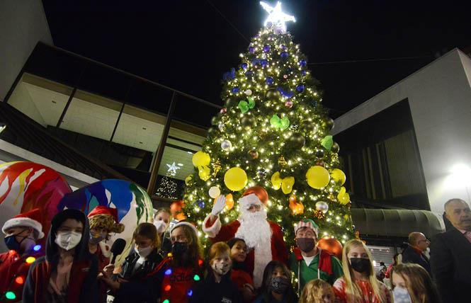 The Castro holiday tree adds to the spirit of the season. Photo: Rick Gerharter