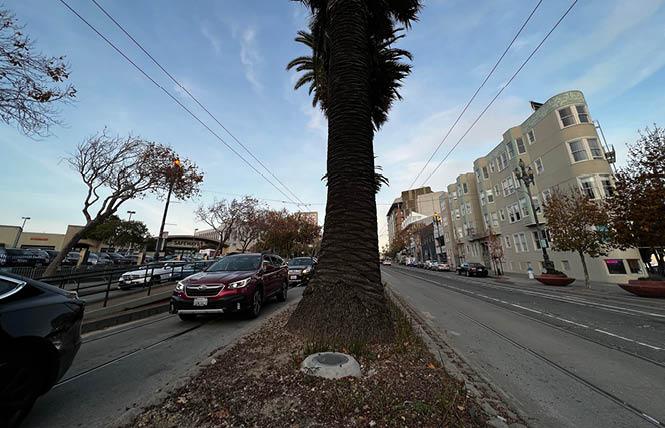 The Castro Community Benefit District is seeking donations to cover electricity costs associated with uplighting the palm trees along upper Market Street. Photo: Matthew S. Bajko