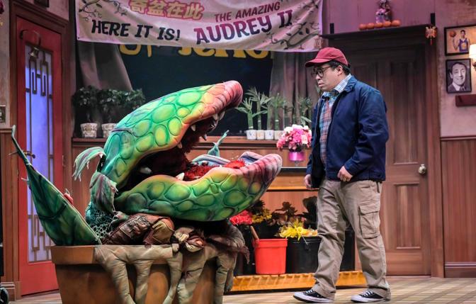 Audrey II (voiced by Katrina Lauren McGraw, puppeteered by Brandon Leland, puppet by Matthew McAvene Creations) demands food from Seymour (Phil Wong) in TheatreWorks Silicon Valley's "Little Shop of Horrors." (photo: Kevin Berne)