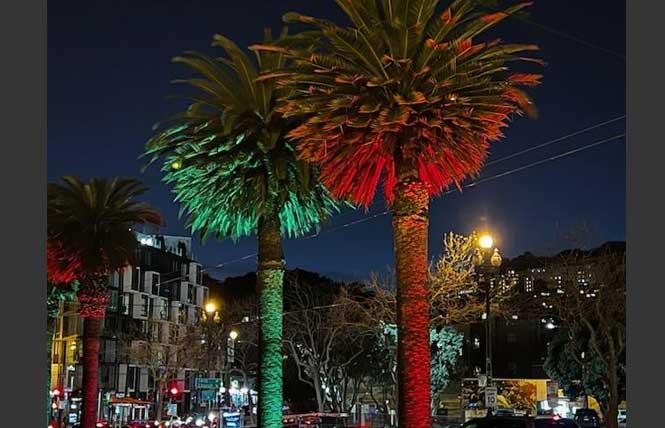 The palm trees in the median along upper Market Street are uplit in red and green for the holidays. Photo: Matthew S. Bajko