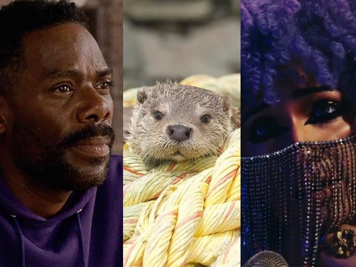 Colman Domingo in 'Sing Sing'; 'Billy and Molly: An Otter Love Story'; 'Wakhri' (photos: SFFilm)