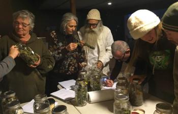 Bay Area Cannasseur: Cannabis lovers anticipate Emerald Cup