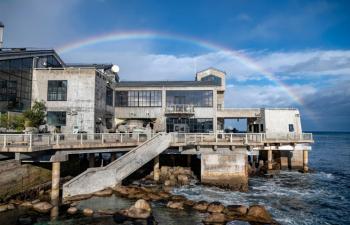 Monterey, Carmel start to welcome visitors