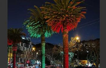 Technical Grinch hits Castro area lights